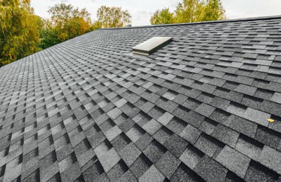 Shingle Roof